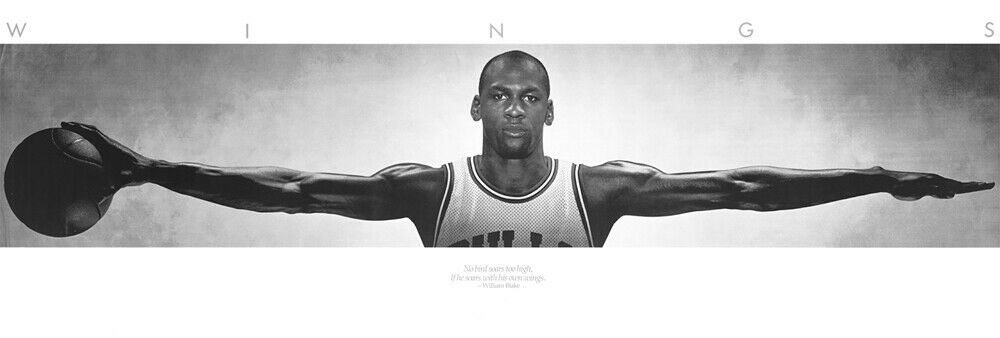 Michael Jordan Wings Black & White Poster 21 X 62